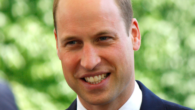 Prince William in 2017