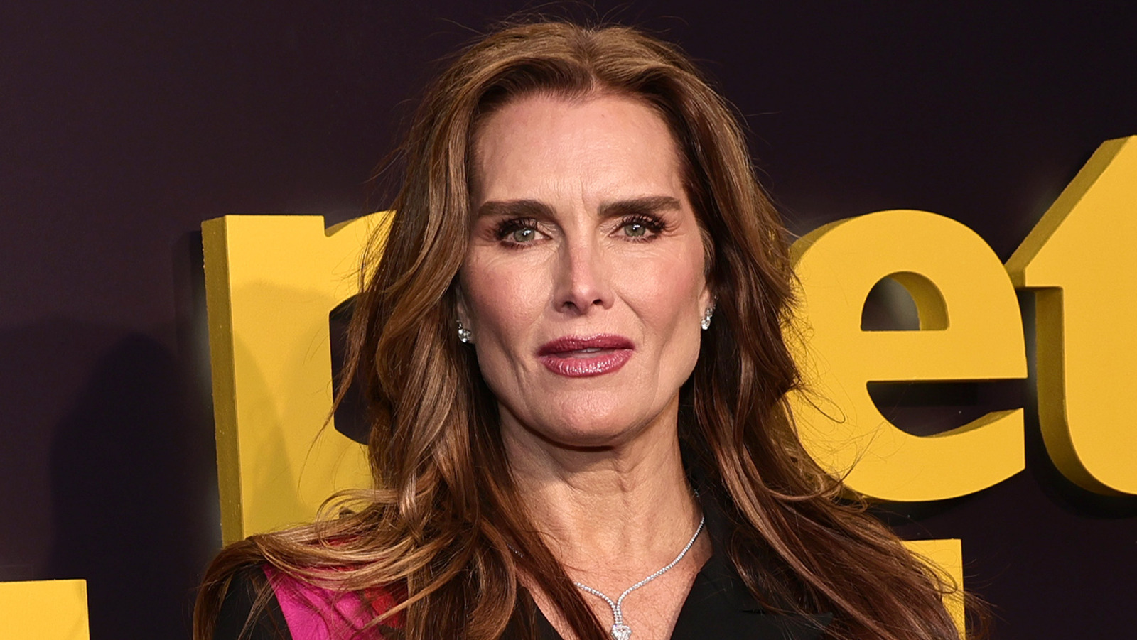 What Brooke Shields Blames For Her Split From Dean Cain