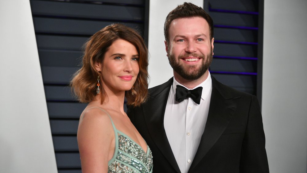 Cobie Smulders, Taran Killam