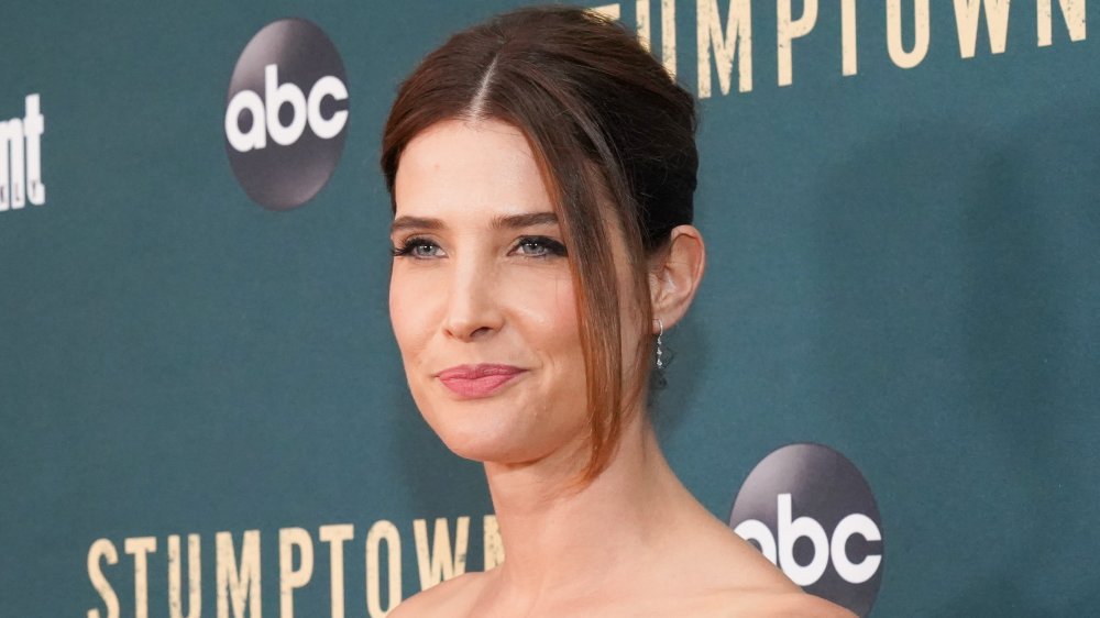 How I Met Your Mother star Cobie Smulders