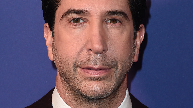 David Schwimmer posing