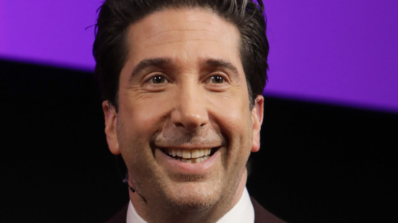 David Schwimmer smiling