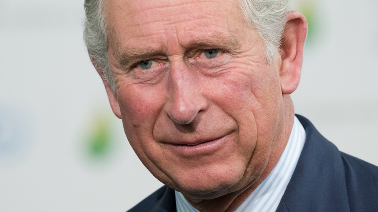 Prince Charles smiles at an engagement