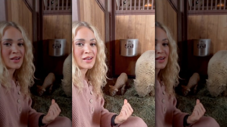 Carrie Underwood boasts curls while showing off sheep