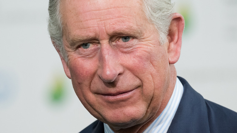 Prince Charles posing in 2015