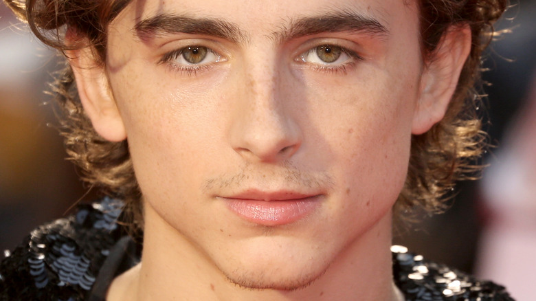 Timothee Chalamet posing