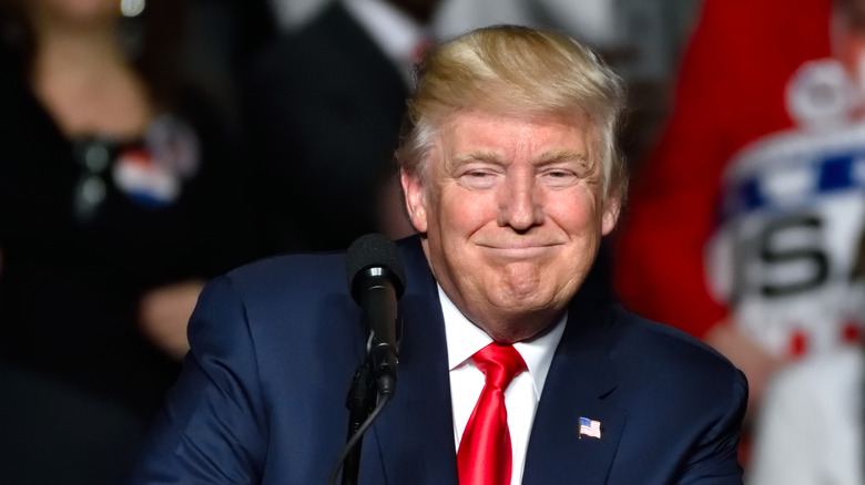 Donald Trump Chesire cat smile