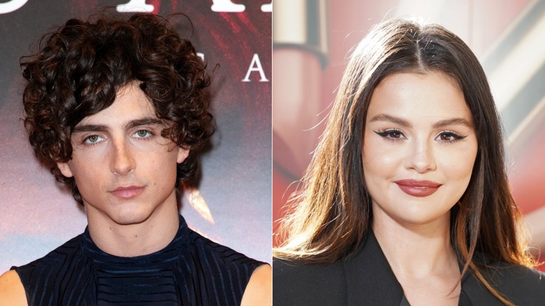 Timothée Chalamet and Selena Gomez side by side