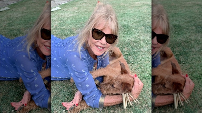 Pattie Boyd lies on grass with dog in 2026