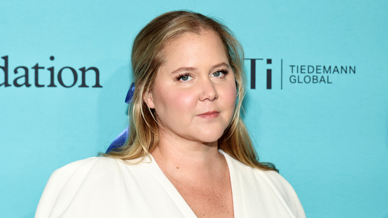 Amy Schumer red carpet photo