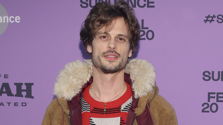 Matthew Gray Gubler on red carpet