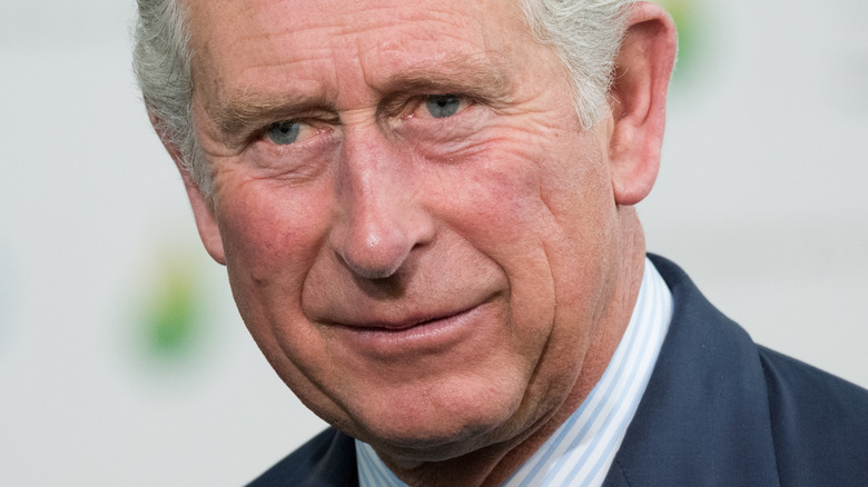 Prince Charles posing
