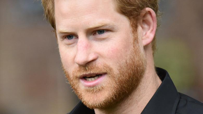 Prince Harry beard