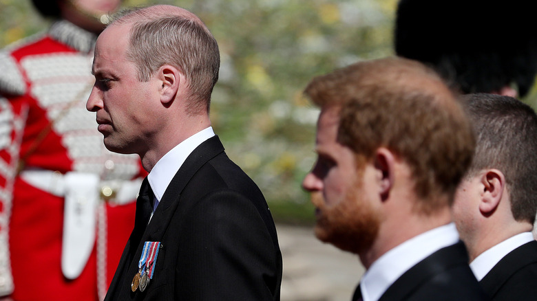 Side profile shots of Prince William and Harry