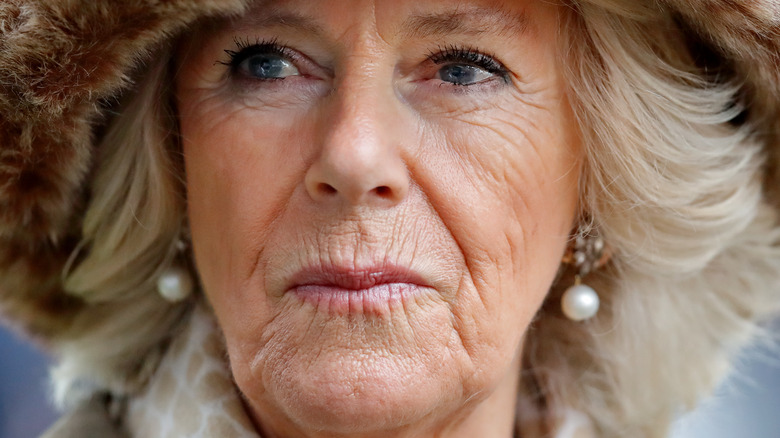 Camilla Parker Bowles fur hat