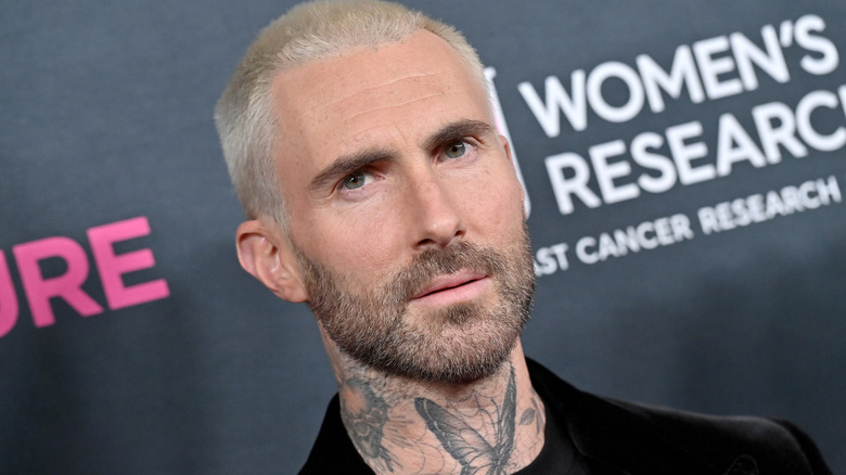 Adam Levine posing at an event
