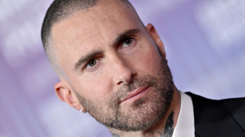 Adam Levine posing on a red carpet