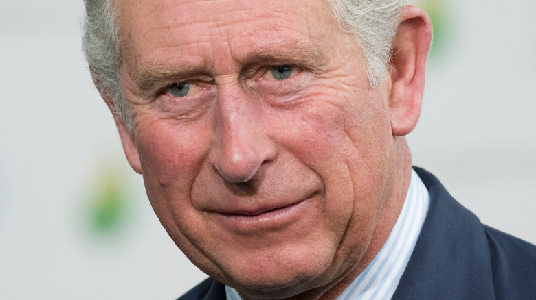 Prince Charles looking into the distance