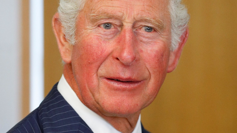 Prince Charles looking perplexed