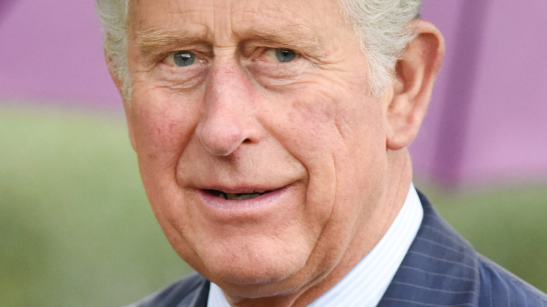 Prince Charles smiling at the cameras