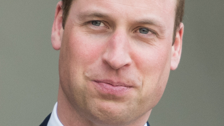 Prince William nose