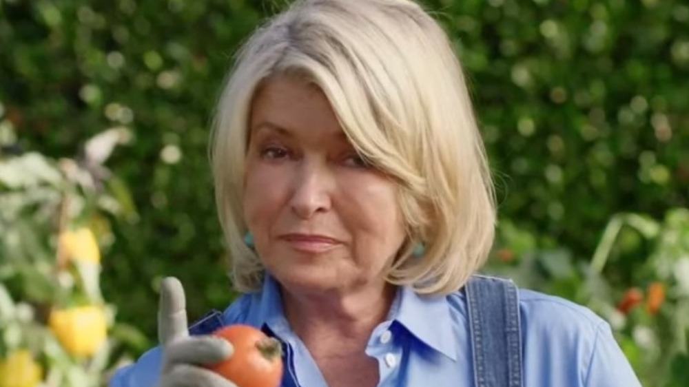 Martha Stewart acting in Scotts Miracle-Gro commercial