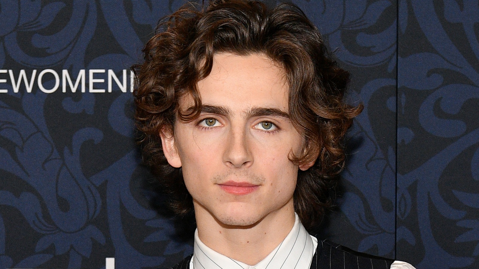 What Is Timothée Chalamet's Net Worth?