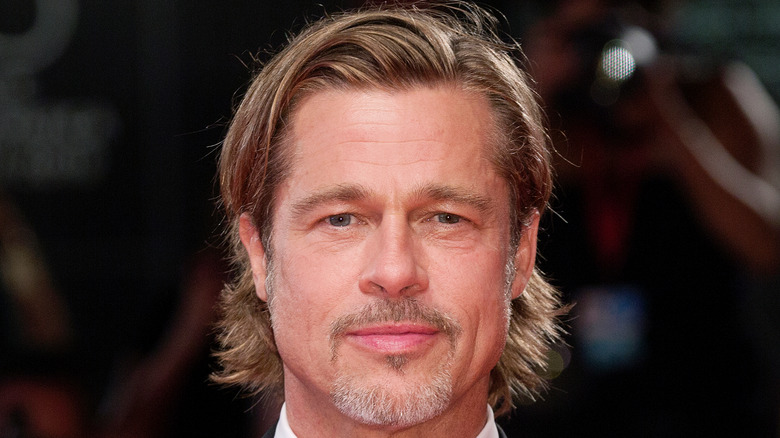 Brad Pitt posing