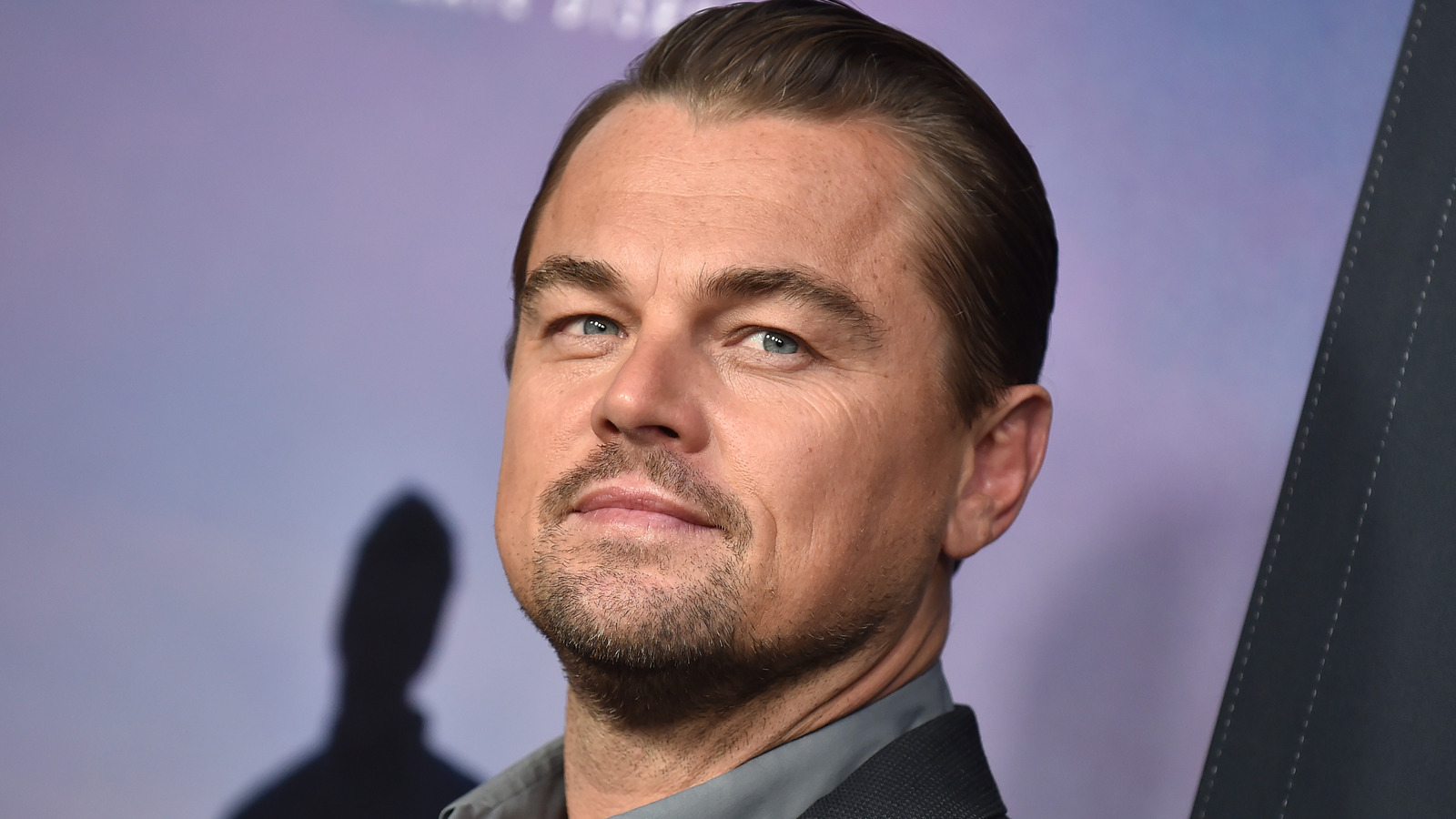 What Leonardo DiCaprio Had To Say About His Golden Globes Incident With Lady Gaga – Nicki Swift