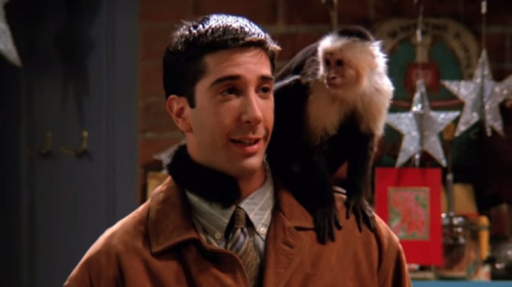 David Schwimmer and Marcel in Friends