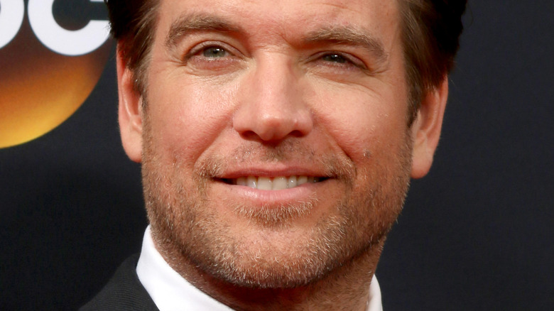 Michael Weatherly posing on red carpet