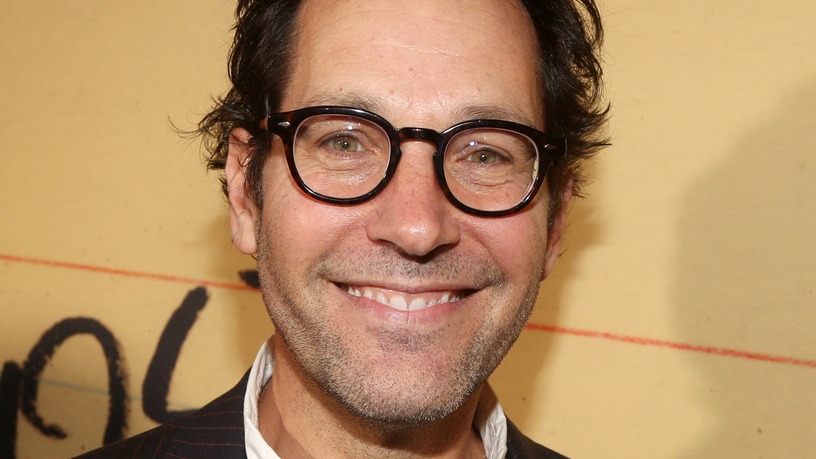 What Paul Rudd's Wife Really Does For A Living