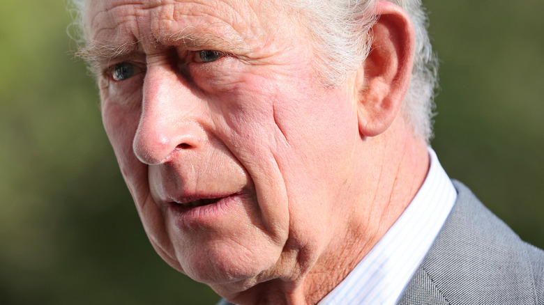 Prince Charles posing