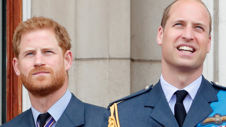 Prince Harry and Prince William