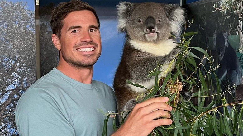 Culver Bradbury koala 