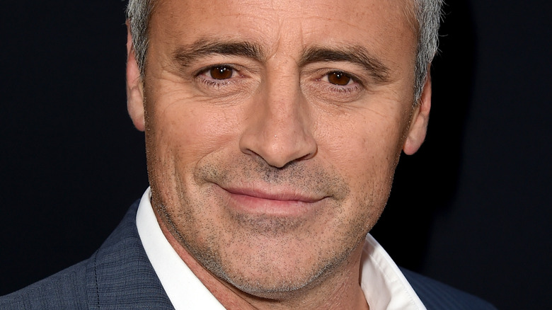 Matt LeBlanc on the red carpet