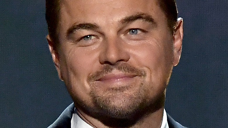 Leonardo DiCaprio slight smile