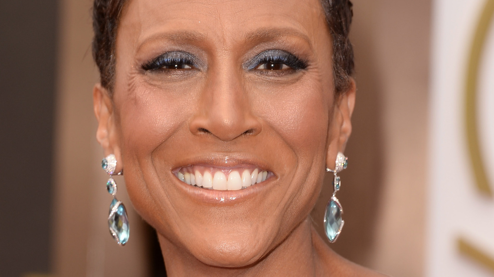 What Robin Roberts’ Partner Amber Laign Really Does For A Living – Nicki Swift