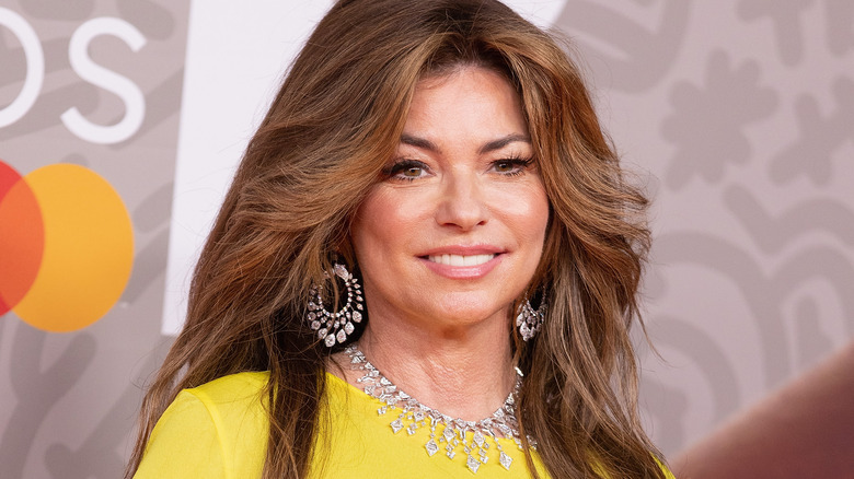 Shania Twain poses on the red carpet