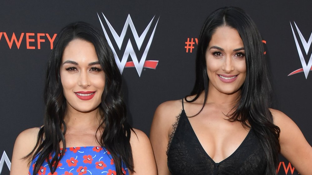 Nikki Bella and Brie Bella