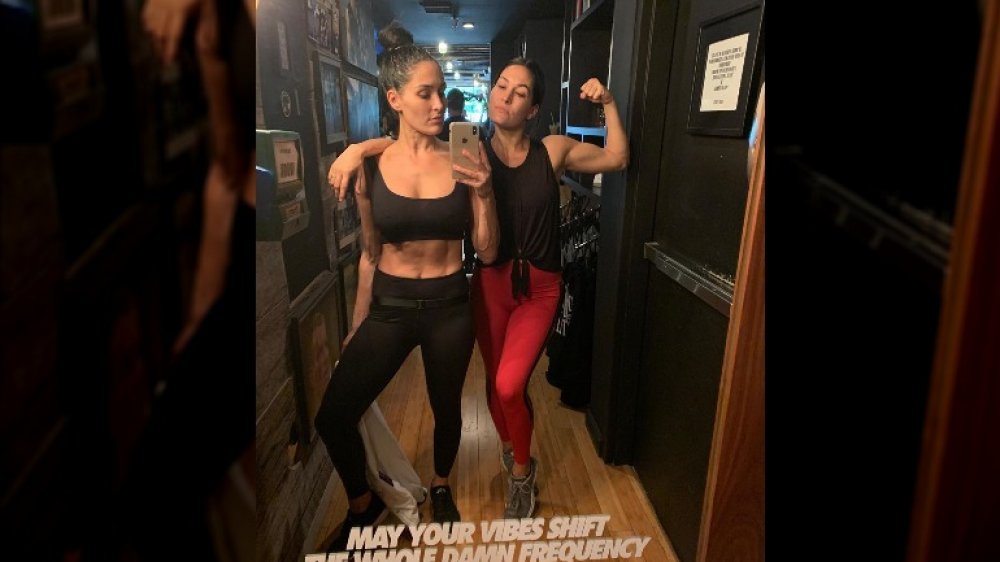 Nikki Bella and Brie Bella