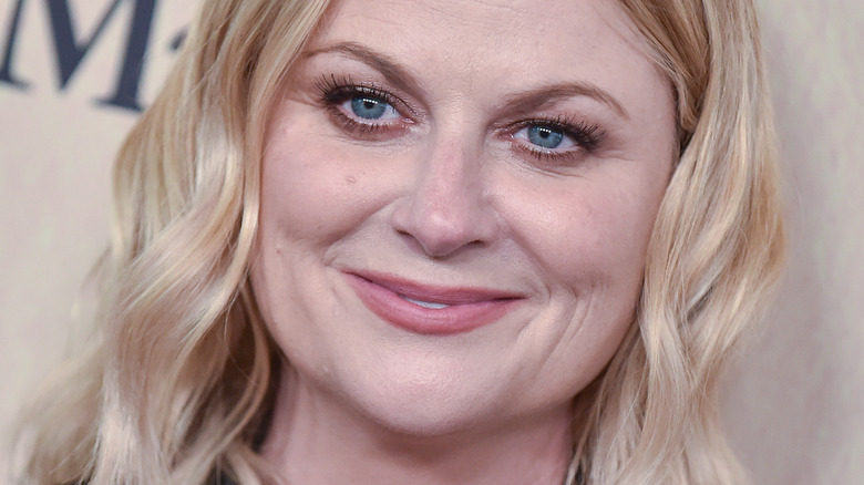 Amy Poehler smiling