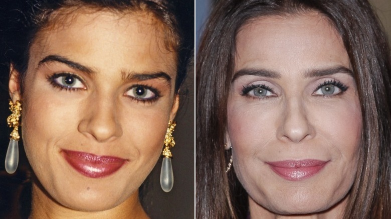 Kristian Alfonso split image, smiling