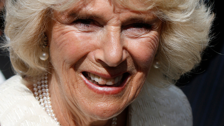 Camilla Parker Bowles lipstick on teeth