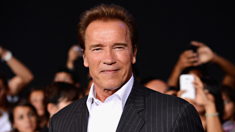 Arnold Schwarzenegger smiling pin stripe suit