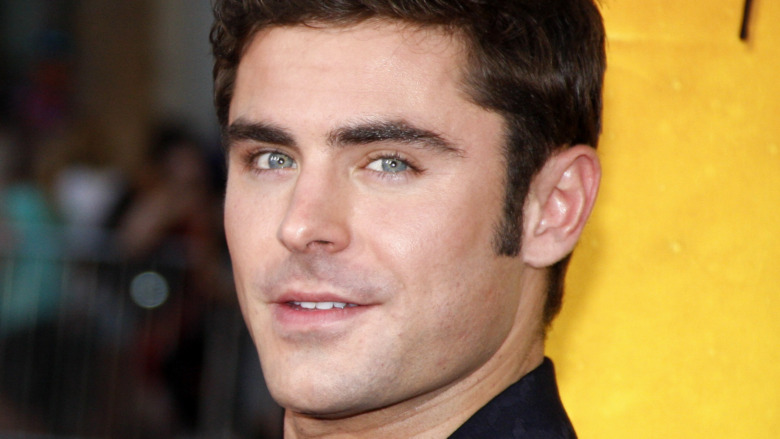 Zac Efron posing at a movie premiere