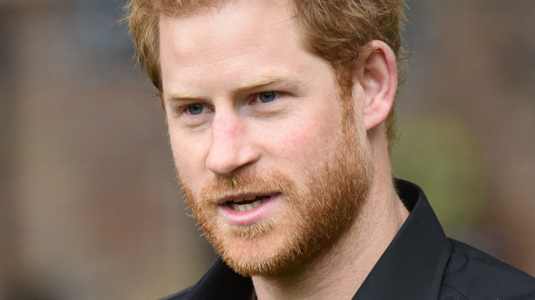 Prince Harry, posing