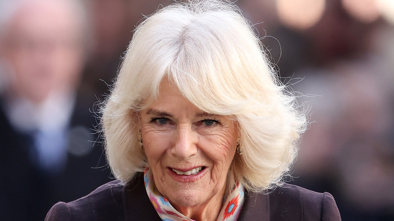 Queen Consort Camilla smiling in close-up