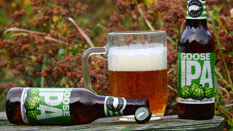 Two bottles of IPA next to a mug filled with beer