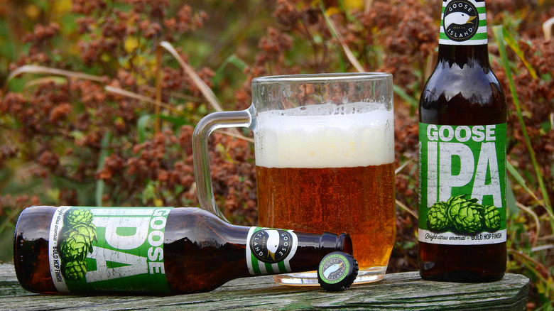 Two bottles of IPA next to a mug filled with beer